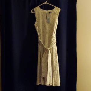 Women's Ann Taylor dress